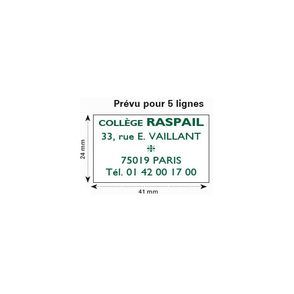 TAMPON TEXTE PROLINE 5200 41*25MM