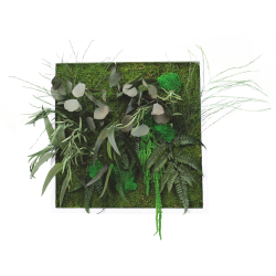 Cadre végétal carré - 50x50 cm