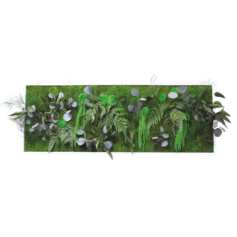 Cadre végétal grand panoramique - 135x50 cm
