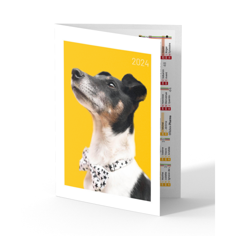 Calendrier De Poche Collection Chiens