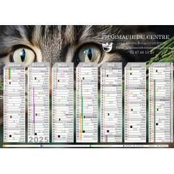 Motif Chat-pin - Calendrier...