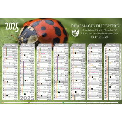 Motif Coccinelle -...