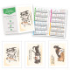 Les chats - Calendrier de poche - Collection 2026