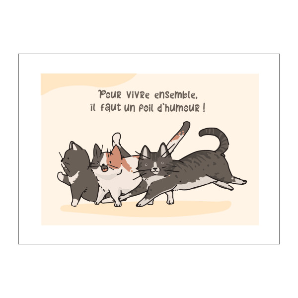 Les chats - Calendrier de poche - Collection 2026