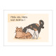 Les chats - Calendrier de poche - Collection 2026