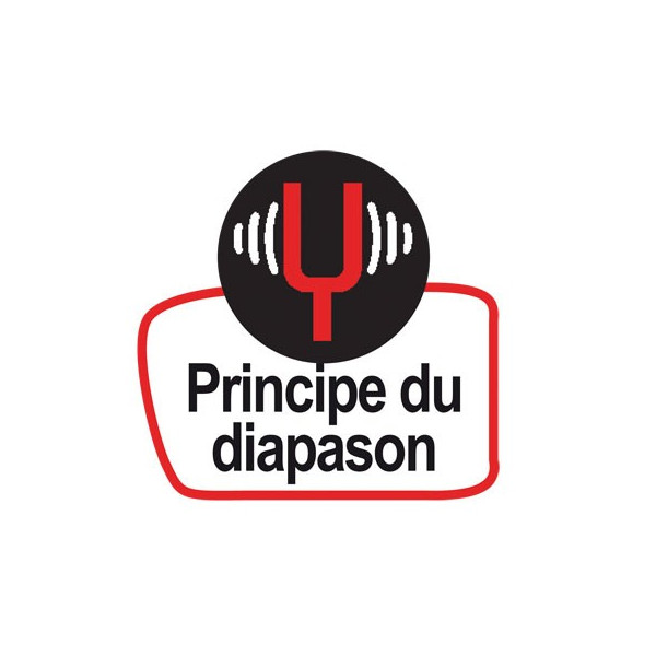 BALANCE DE PRECISION KERN EG 220g/0,001g