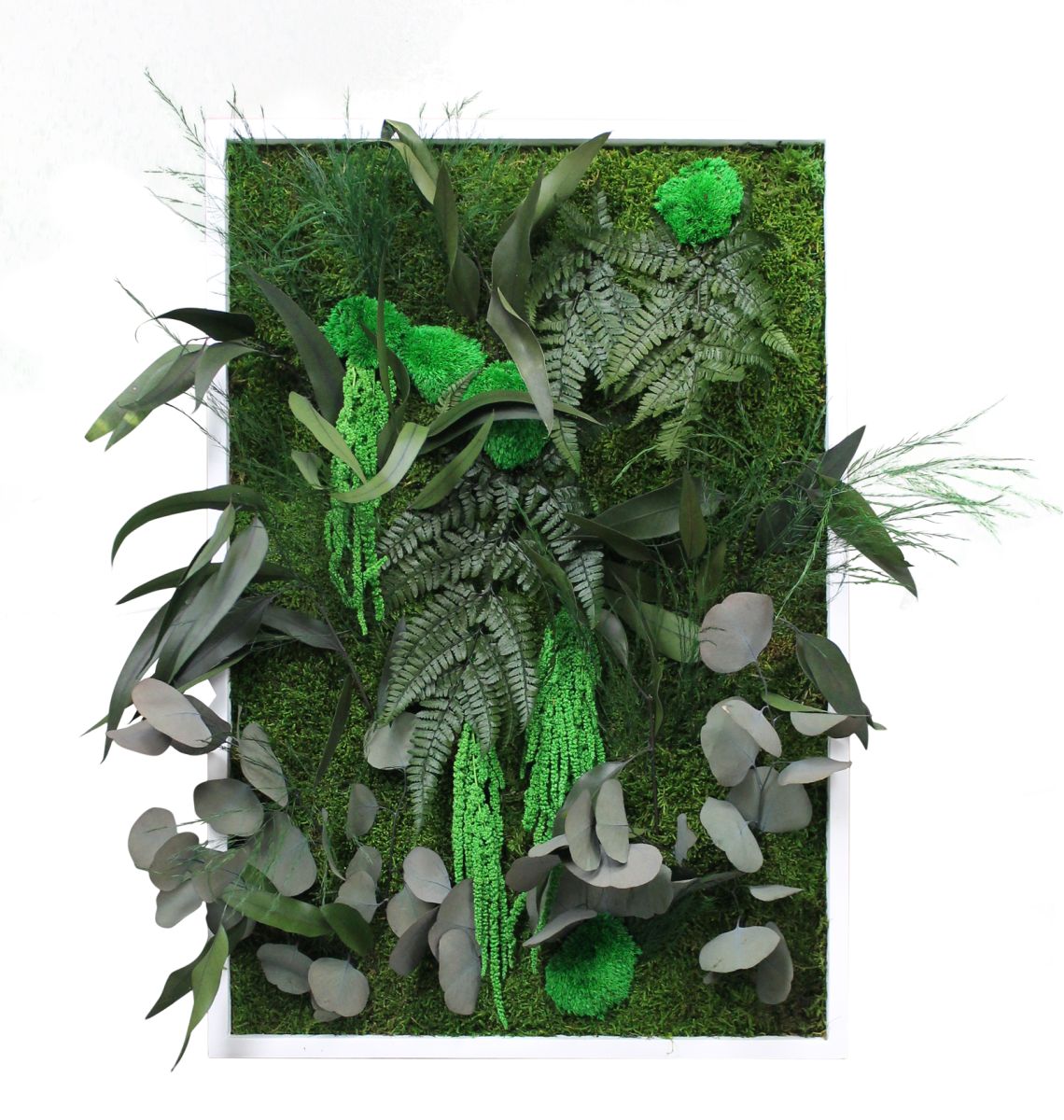 Cadre végétal petit portrait - 50x65 cm